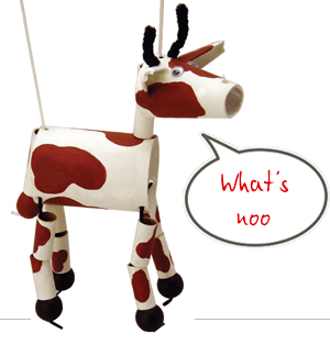 new eco gifts
